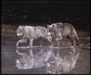 2wolves