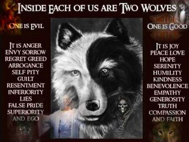 Οι δύο λύκοι