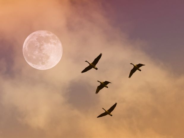Έκλειψη Σελήνης και Πανσέληνος Ιουνίου – Πώς θα επηρεάσει τα 12 ζώδια;
