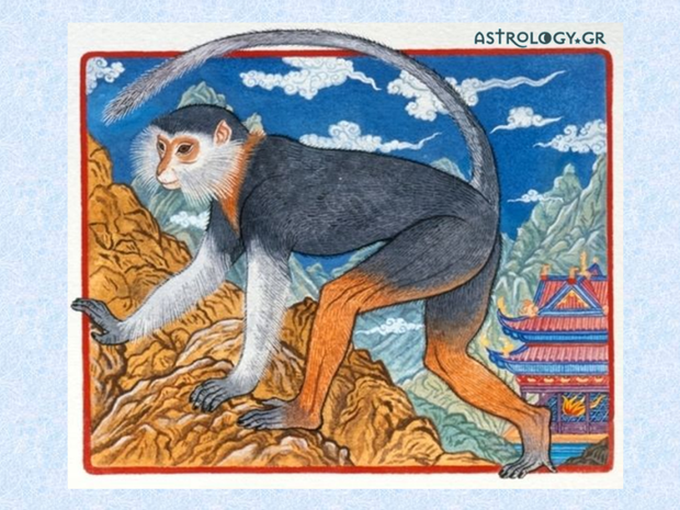 Ζώδια Κινέζικης Αστρολογίας: Ο Πίθηκος
