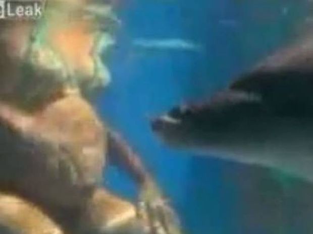 Συγκλονιστικό: To θαύμα της γέννησης σε πισίνα παρέα με ένα δελφίνι