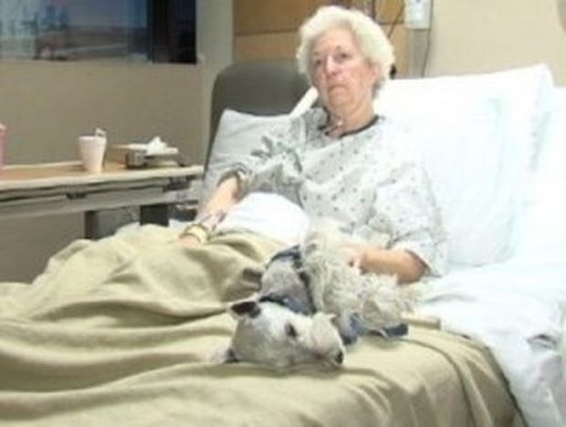 Συγκλονιστικό: O σκύλος της την έσωσε από το θάνατο!