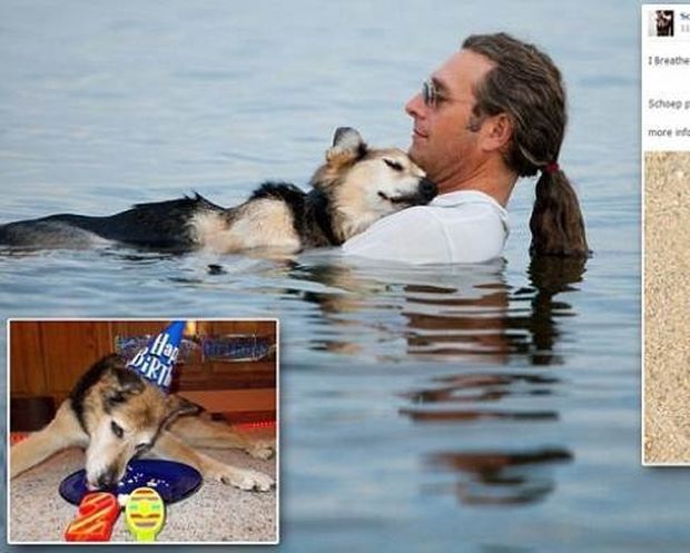 «Έφυγε» ο σκύλος της φωτογραφίας που συγκίνησε χιλιάδες ανθρώπους