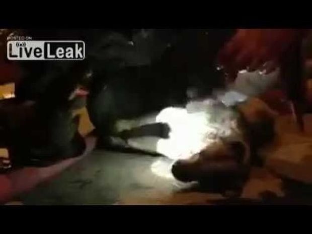 ΣΥΓΚΛΟΝΙΣΤΙΚΟ VIDEO: Πυροσβέστης δίνει το φιλί της ζωής σε σκύλο για να τον σώσει