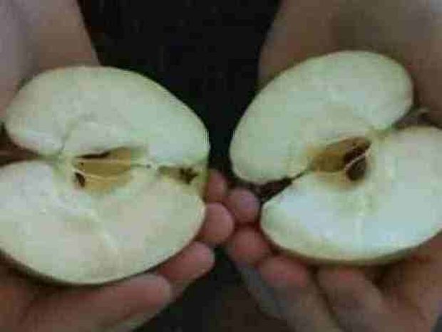 Βίντεο: Πώς να κόψεις ένα μήλο με τα χέρια