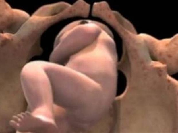 Εντυπωσιακό βίντεο: Το έμβρυο από τη σύλληψη μέχρι τη γέννηση!