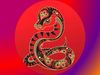 Κινέζικη Αστρολογία: Η ερωτική ζωή του Φιδιού