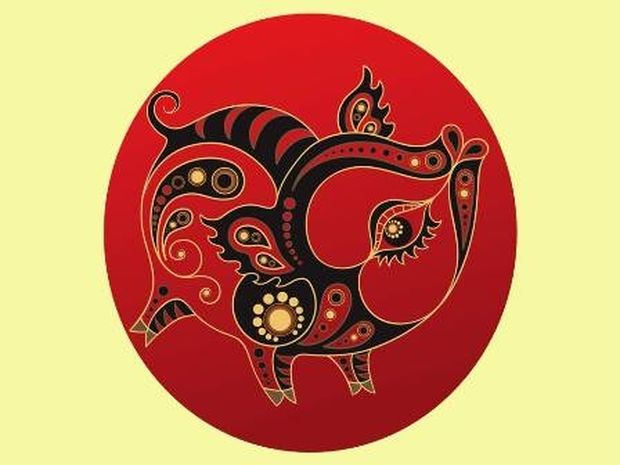 Κινέζικη Αστρολογία: Η ερωτική ζωή του Χοίρου