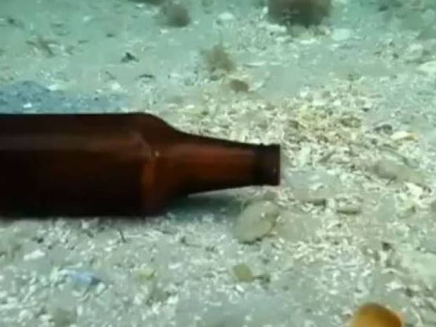Τι ζει μέσα στο μπουκάλι μπίρας; (βίντεο)