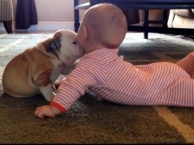 Μοναδικό! Το μωρό δέχεται «επίθεση» φιλιών από κουταβάκι (βίντεο)