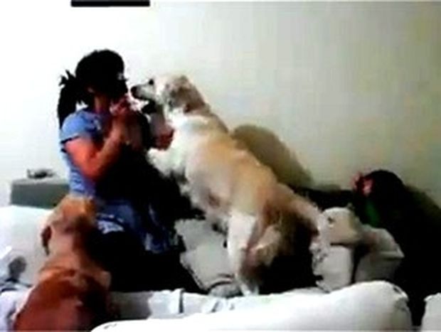 ΑΠΙΣΤΕΥΤΟ VIDEO: Σκυλιά προστατεύουν παιδί από τη θυμωμένη μητέρα του!