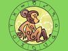 Κινέζικη αστρολογία: Ο Πίθηκος και τα 12 ζώδια της Δυτικής αστρολογίας