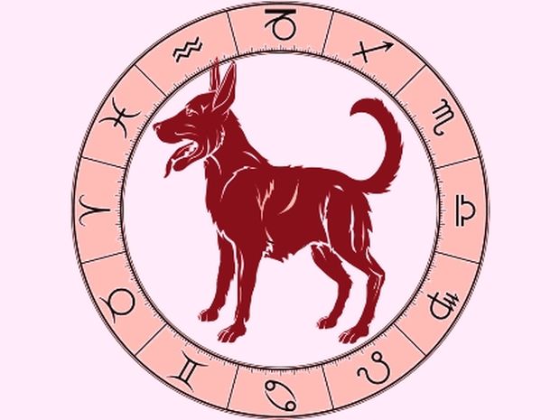 Κινέζικη αστρολογία: Ο Σκύλος και τα 12 ζώδια της Δυτικής αστρολογίας