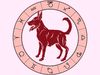 Κινέζικη αστρολογία: Ο Σκύλος και τα 12 ζώδια της Δυτικής αστρολογίας