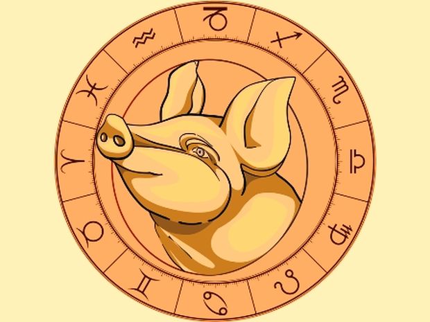 Κινέζικη αστρολογία: Ο Χοίρος και τα 12 ζώδια της Δυτικής αστρολογίας