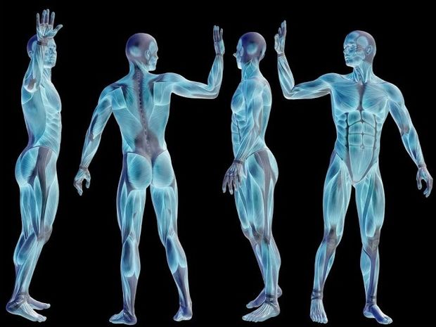 Αυτά είναι τα 6 πιο "άχρηστα" μέρη του ανθρώπινου σώματος