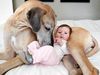 ΠΑΝΕΜΟΡΦΟ: Μωρά παίζουν με… μεγάλα σκυλιά! (video)