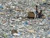 Συγκλονιστικό: Πατέρας και γιος ψάχνουν στα σκουπίδια για να βρουν τρία δολάρια (εικόνες) 