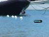 Τους έπιασε η κάμερα να ερωτοτροπούν πίσω από μια βάρκα! Ποιοι είναι; 