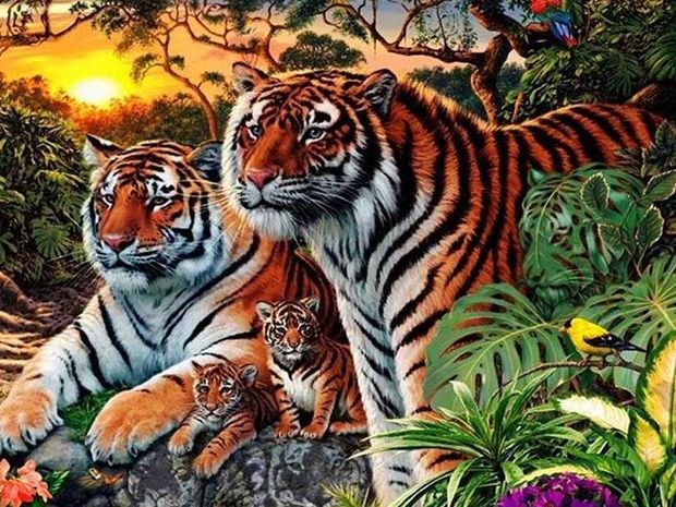 Μπορείτε να βρείτε πόσες τίγρεις κρύβονται σε αυτή την εικόνα;