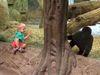 Το είδαμε κι αυτό: Παιδάκι παίζει με…γορίλα! (βίντεο)