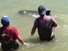 Σπάει καρδιές: Δελφίνι «εκλιπαρεί» και πέφτει στα βράχια για να σωθεί από τους κυνηγούς του! (video)