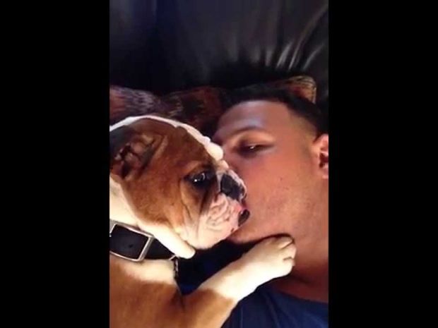 Καταπληκτικό! Αυτός ο σκυλάκος δε χορταίνει τα φιλιά του ιδιοκτήτη του! (video)