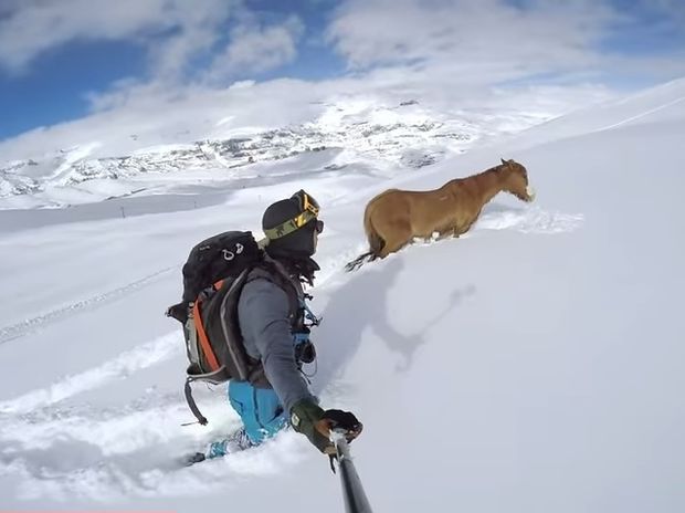 Είδαν ένα άλογο εγκλωβισμένο στο χιόνι! Αυτό που ακολούθησε θα σας συγκινήσει! (video)
