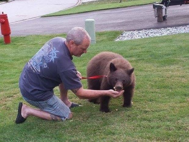 Απίστευτο! Έβγαλε βόλτα με λουράκι… την αρκούδα του!