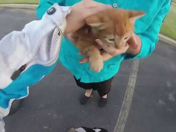 Λίγοι θα το τολμούσαν! Σχεδόν πήδηξε από τη μηχανή της για να σώσει αυτό το γατάκι! (video)