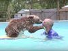 Κολυμπάει μαζί με το αρκουδάκι για τον πιο υπέροχο λόγο! (video) 