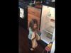 Δείτε τη συγκινητική αντίδραση αυτού του κοριτσιού όταν ξαναβρήκε το αγαπημένο της αρκουδάκι  (video)
