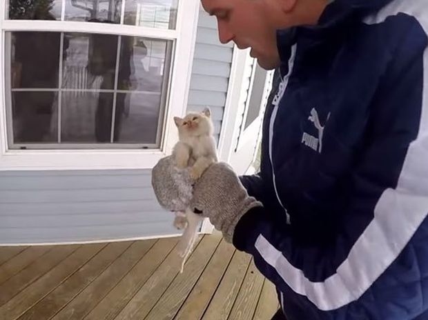 Συγκινητικό! Δείτε το γατάκι που βρέθηκε παγωμένο στα χιόνια και σώθηκε από θαύμα! (video)