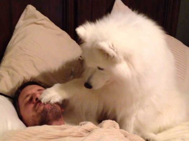 Υπέροχο! Η σκυλίτσα ξέρει τον καλύτερο τρόπο για να ξυπνάει τον ιδιοκτήτη της! (video)