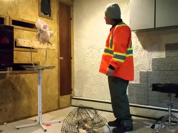 Απίθανο! Αυτός ο παπαγάλος βρίζει ασταμάτητα επειδή του κατέστρεψαν το κλουβί! (video)