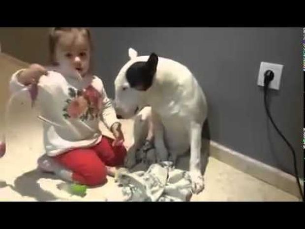 Το κοριτσάκι παριστάνει το γιατρό κι εξετάζει τον τετράποδο φίλο της! (video)