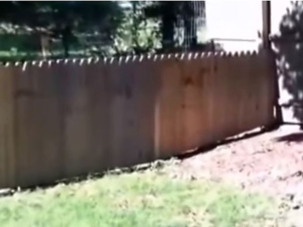 Πίστευε πως ο φράχτης που έφτιαξε θα σταματούσε το σκύλο του… Δείτε τι συνέβη τελικά! (video)