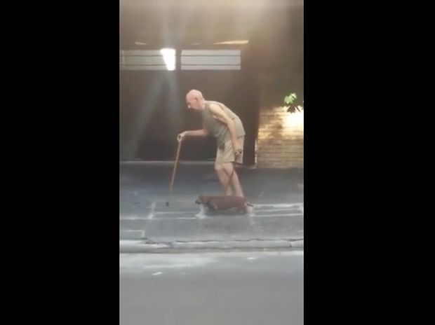 Το υπομονετικό σκυλάκι περπατάει αργά για να συμβαδίζει με τον ιδιοκτήτη του! (video)