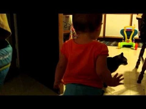 Το κοριτσάκι μιλάει στη γάτα κι αυτή απαντάει κανονικά! Δείτε τον απίστευτο διάλογο! (video)