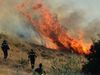 ΤΩΡΑ: Μεγάλη φωτιά σε εξέλιξη στα Μέγαρα