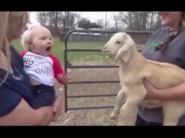 Ξεκαρδιστικό! Δείτε τη συζήτηση του μωρού και της κατσίκας! (video)