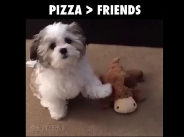 Όταν η πίτσα είναι ο καλύτερός σου φίλος! (video)