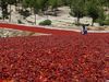 Τουρκία: Έστρωσαν το δρόμο με καυτερές πιπεριές
