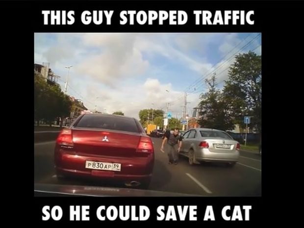 Ο οδηγός σταμάτησε στη μέση του δρόμου για να σώσει ένα γατάκι! (video)