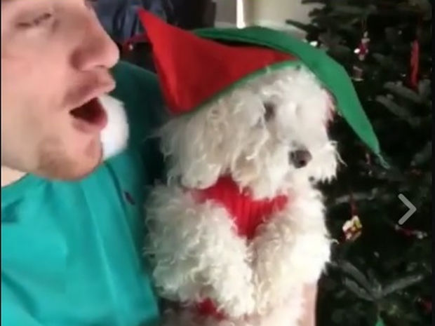 Ο σκυλάκος είναι πραγματικά ενθουσιασμένος με τα Χριστούγεννα! (video)