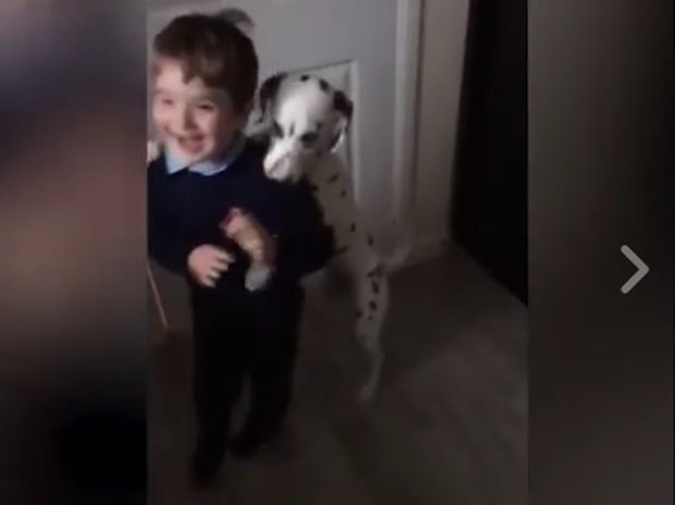 Ο σκυλάκος δεν αφήνει το αγόρι να πάει στο σχολείο! Ό,τι πιο γλυκό θα δείτε σήμερα!
