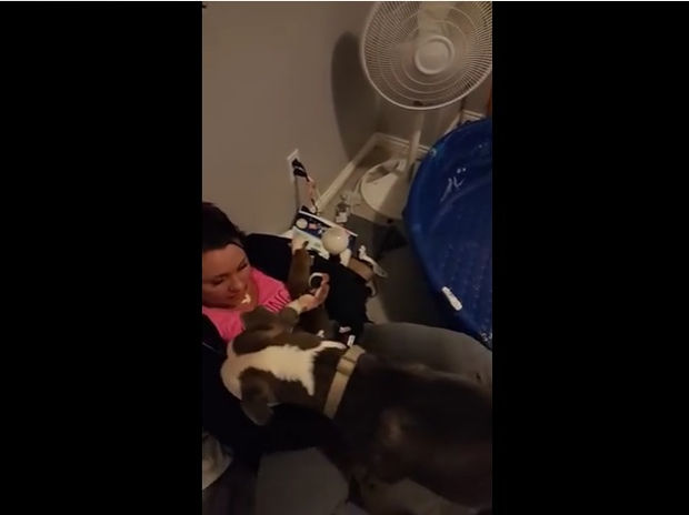 Η σκυλίτσα εμπιστεύεται τα μωρά της στη γυναίκα που της πρόσφερε καταφύγιο!