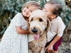 Πώς θα προστατεύσετε το παιδί σας από δάγκωμα σκύλου