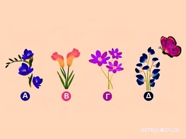 Σε ποιο λουλούδι θα καθίσει η πεταλούδα;