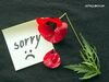 Ποια ζώδια είναι πρόθυμα να ζητήσουν συγγνώμη και ποια αρνούνται πεισματικά;